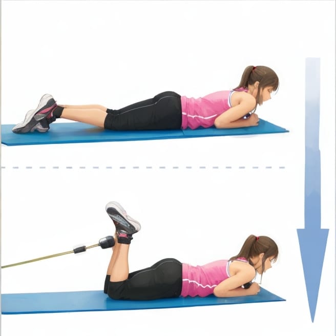 hamstring curls exercise