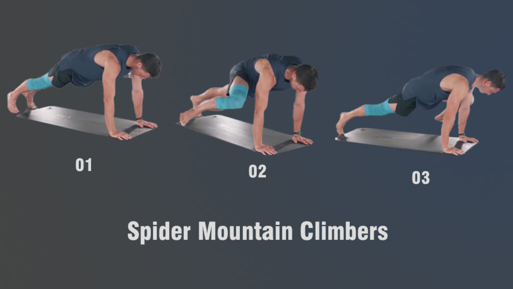 Spider Mountain Climbers