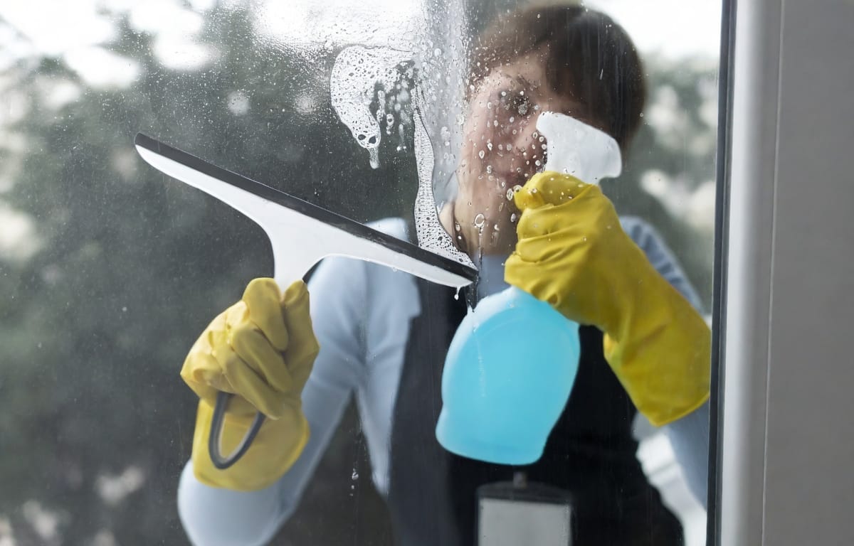 Window Cleaner